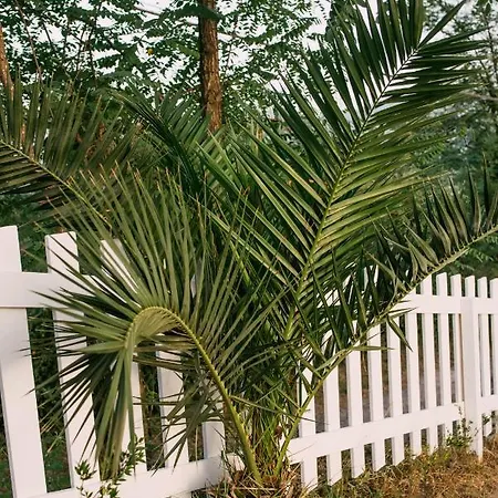 Nocleg ze śniadaniem Lory's *