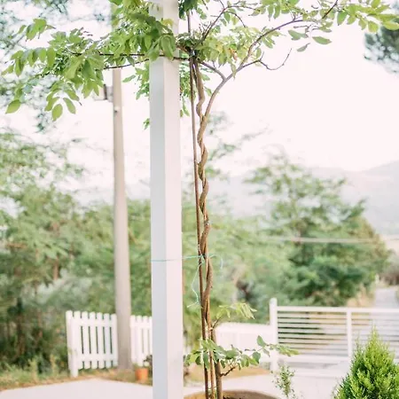 Nocleg ze śniadaniem Lory's