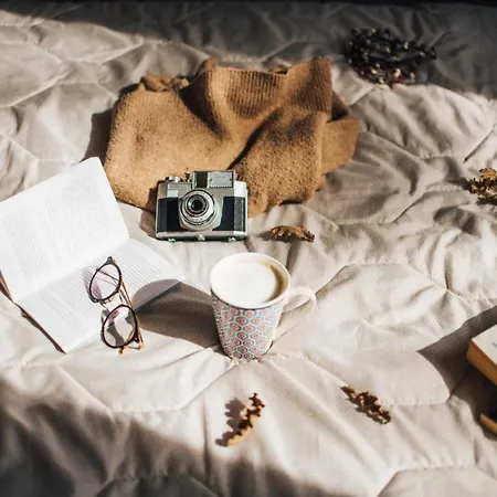 ベッド・アンド・ブレックファスト Lory's *