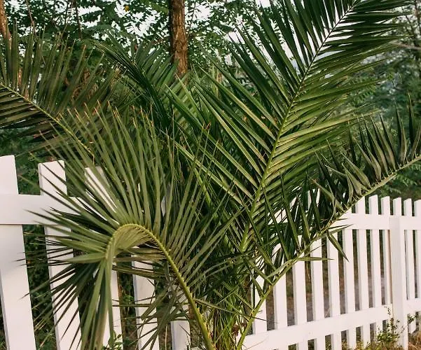 Bed and breakfast Lory's *