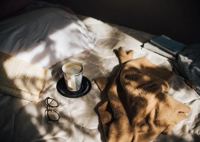 Bed and breakfast Lory's